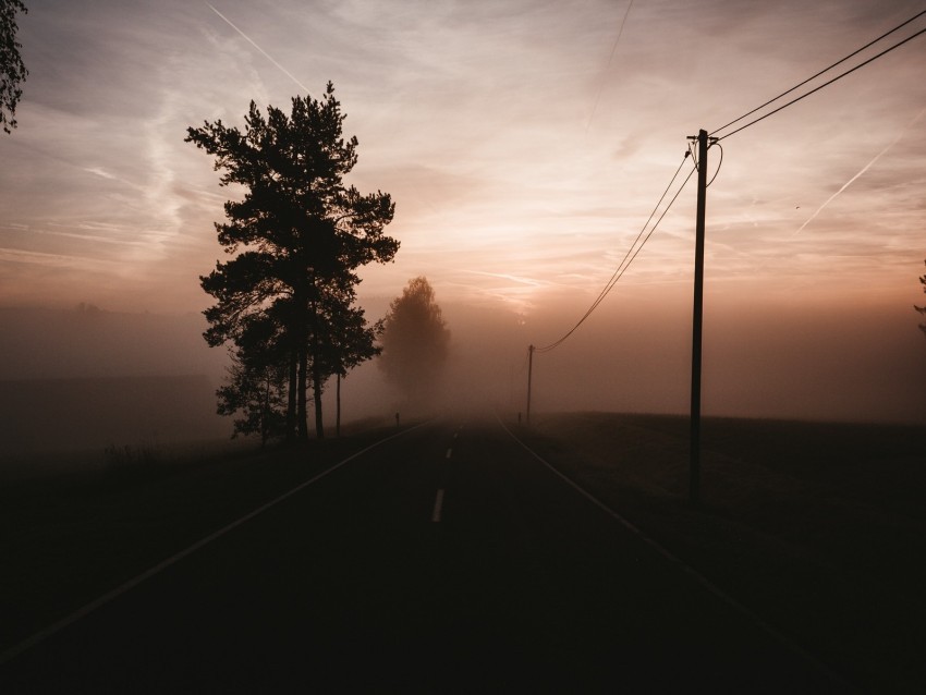 fog road trees twilight sky Clear PNG pictures broad bulk 4k wallpaper