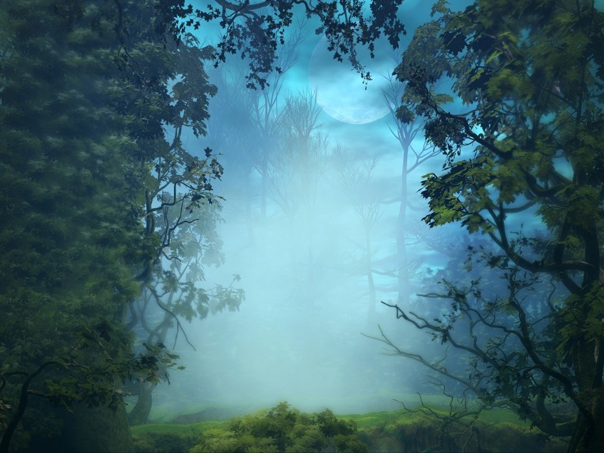 fog trees art forest branches PNG Image with Isolated Transparency 4k wallpaper