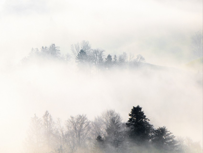fog trees hills mist landscape High-quality PNG images with transparency
