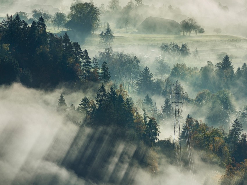 fog trees top view forest bled slovenia PNG for educational projects 4k wallpaper