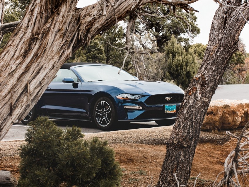 ford mustang ford car convertible blue trees branches PNG Image with Transparent Cutout
