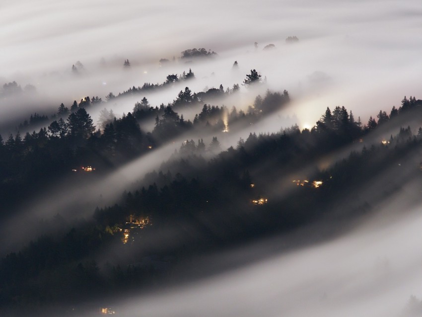 forest fog trees shine aerial view PNG images for merchandise 4k wallpaper