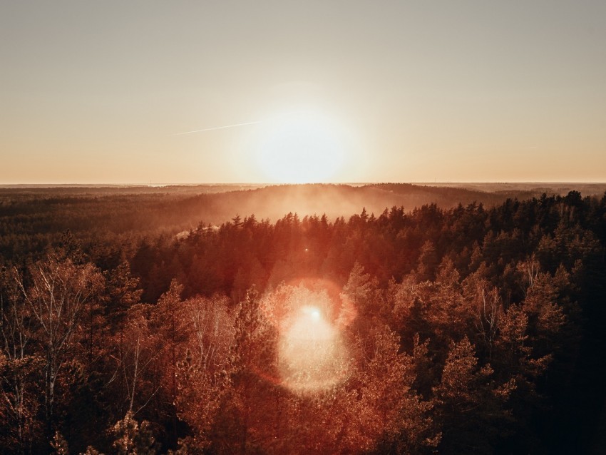 forest horizon sundawn fog sun glare aerial view PNG images with clear backgrounds 4k wallpaper