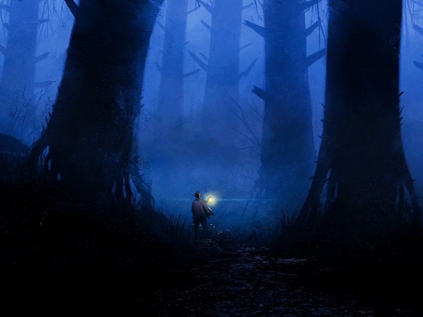 forest loneliness art lantern trees fog Free PNG images with alpha channel set