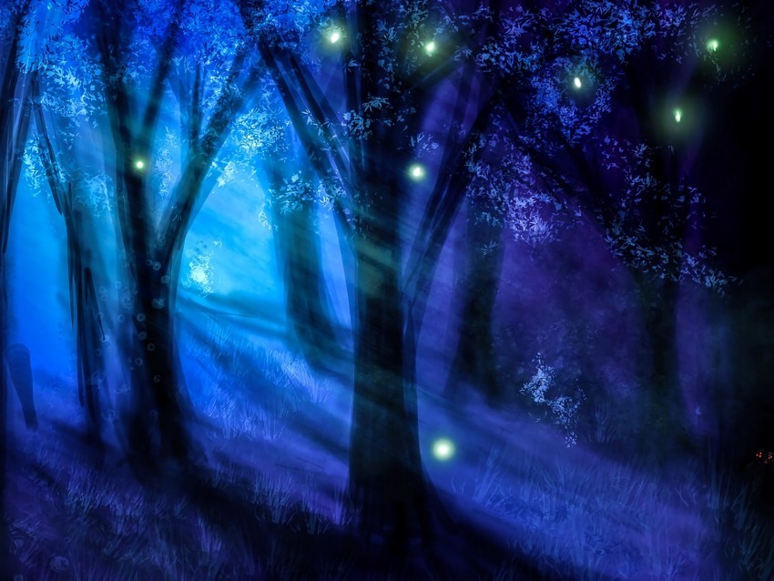 forest night art trees light Isolated Illustration in HighQuality Transparent PNG