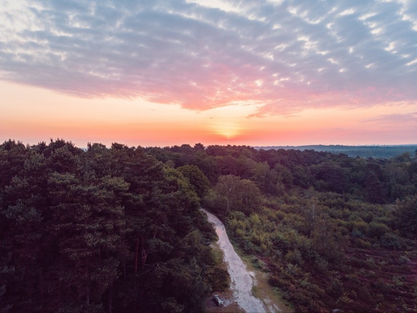 forest path aerial view sunset horizon Isolated Item on Clear Background PNG