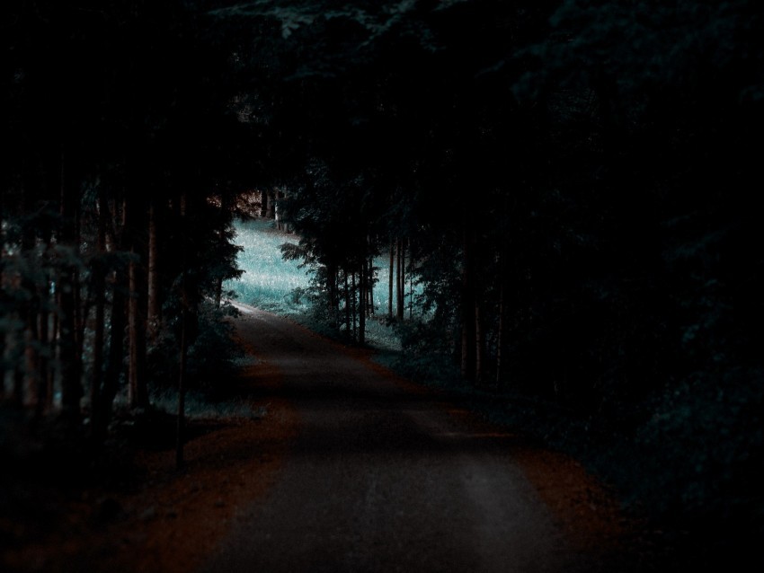 forest path trees dark shadow PNG for overlays 4k wallpaper