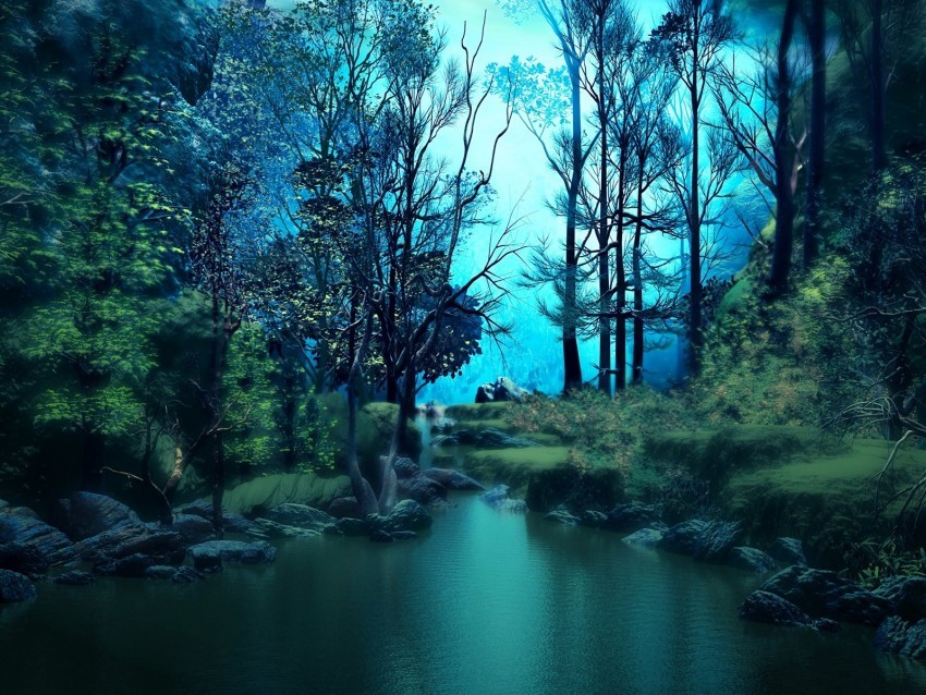 forest pond water trees art Transparent image