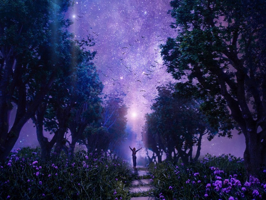 forest starry sky art purple fabulous Transparent PNG Isolation of Item