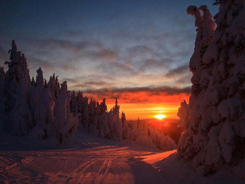 forest sunset winter landscape slope snowy Transparent background PNG images comprehensive collection