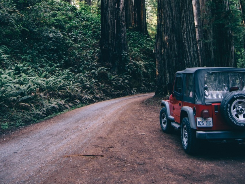 forest suv trees road PNG Isolated Subject on Transparent Background 4k wallpaper