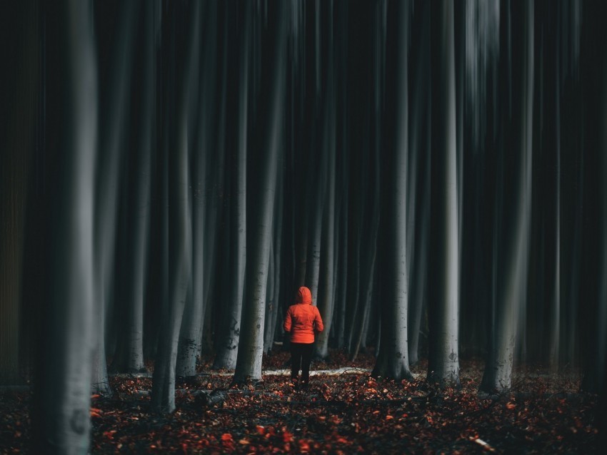 forest trees man illusion blur Clear Background PNG Isolated Item