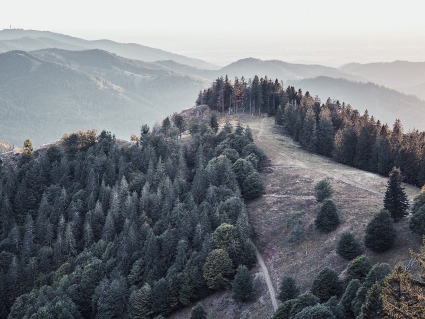 forest trees mountains fog landscape Free PNG images with transparent layers compilation 4k wallpaper