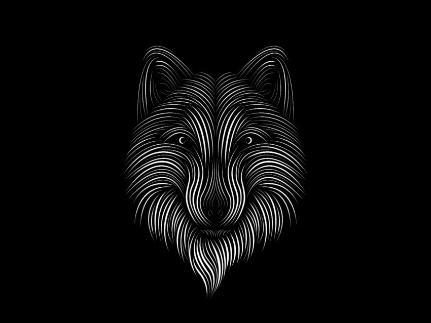 fox line art bw PNG with clear background set 4k wallpaper