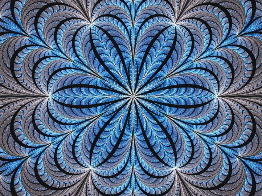 fractal flower glow lines symmetry Isolated Object in Transparent PNG Format