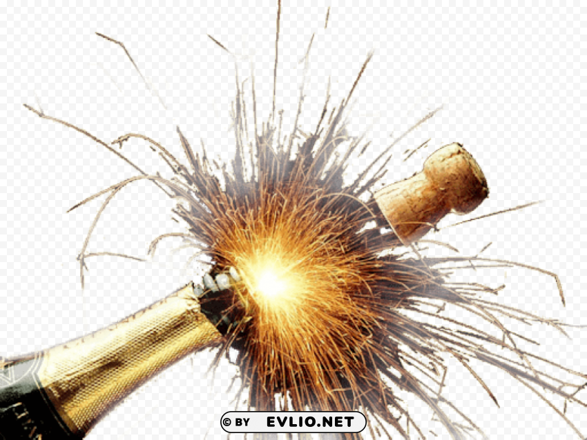 Champagne Explosion with No Background - Image ID e001aff0 ClearCut PNG Isolated Graphic
