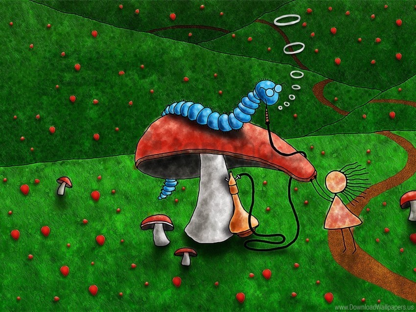 fungi glade summer worms wallpaper PNG with transparent backdrop