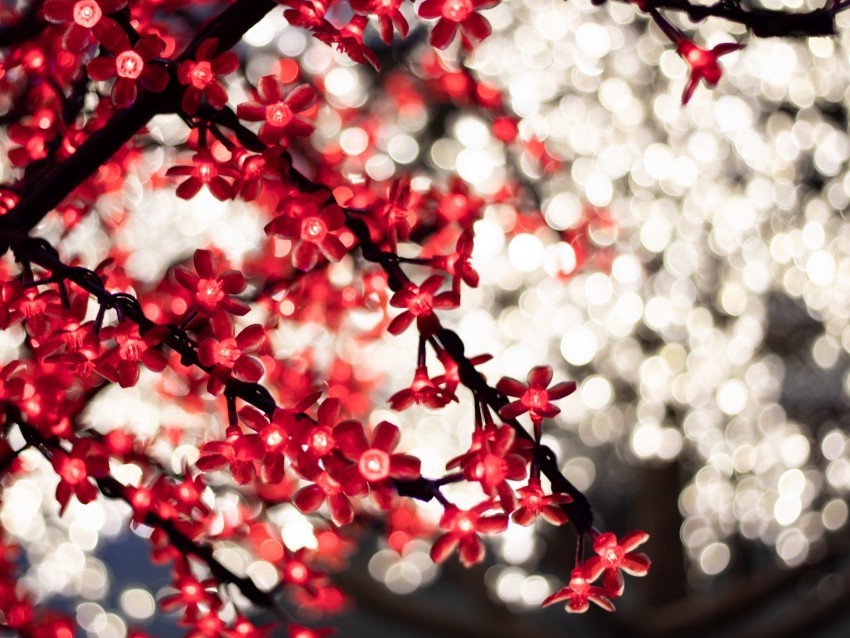 garland glare bokeh flowers Transparent PNG image free 4k wallpaper