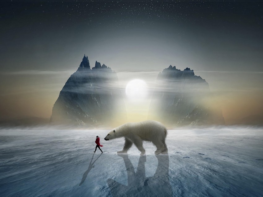 girl bear snow mountains polar friend photoshop PNG Image with Transparent Isolated Graphic 4k wallpaper