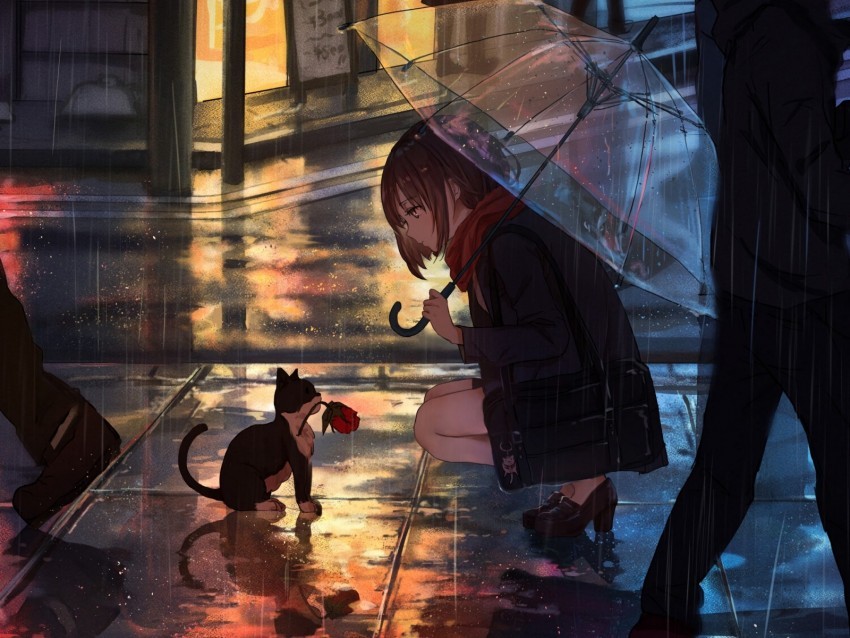 girl kitten flower anime street rain Isolated Artwork on Clear Background PNG 4k wallpaper