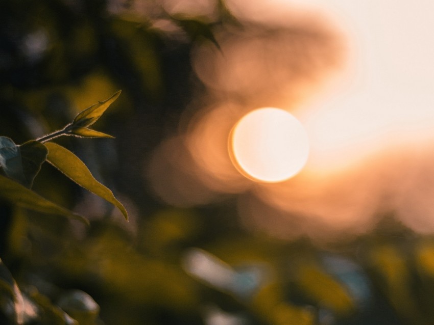 glare bokeh sunset blur light PNG Image with Clear Isolation
