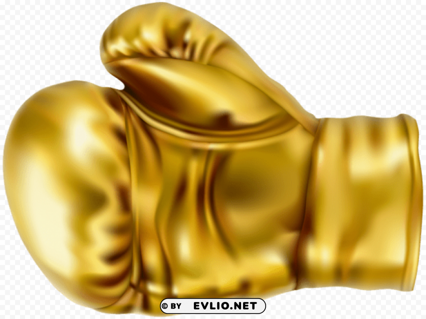 gold boxing glove HighQuality Transparent PNG Isolation