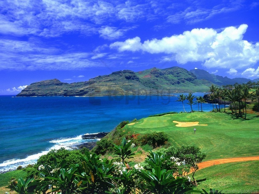 golf hawaii wallpaper PNG for digital design
