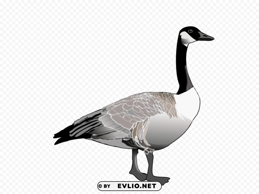 goose s ClearCut Background Isolated PNG Graphic Element
