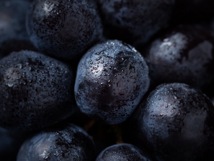 grapes berry drops macro ripe Transparent background PNG artworks