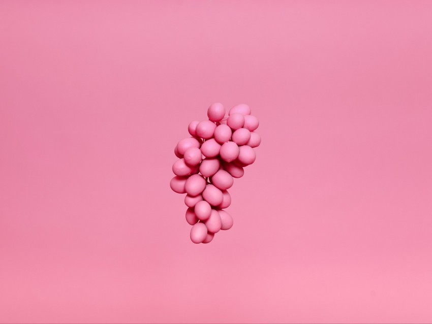 grapes bunch pink paint minimalism PNG Isolated Object on Clear Background
