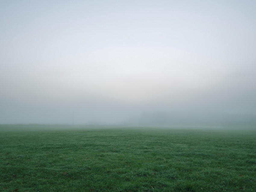 grass fog thick impenetrable field PNG high quality