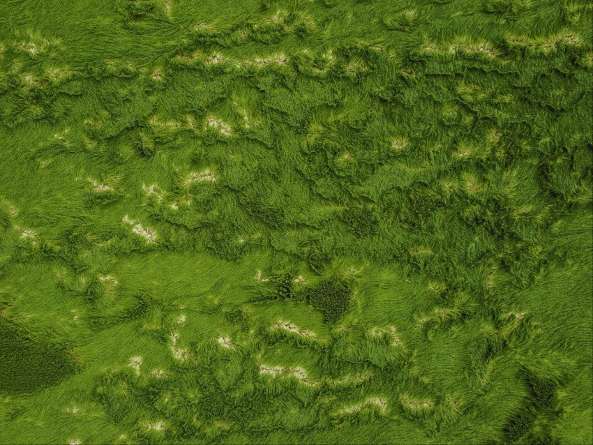 grass greens aerial view ground surface PNG images with transparent canvas