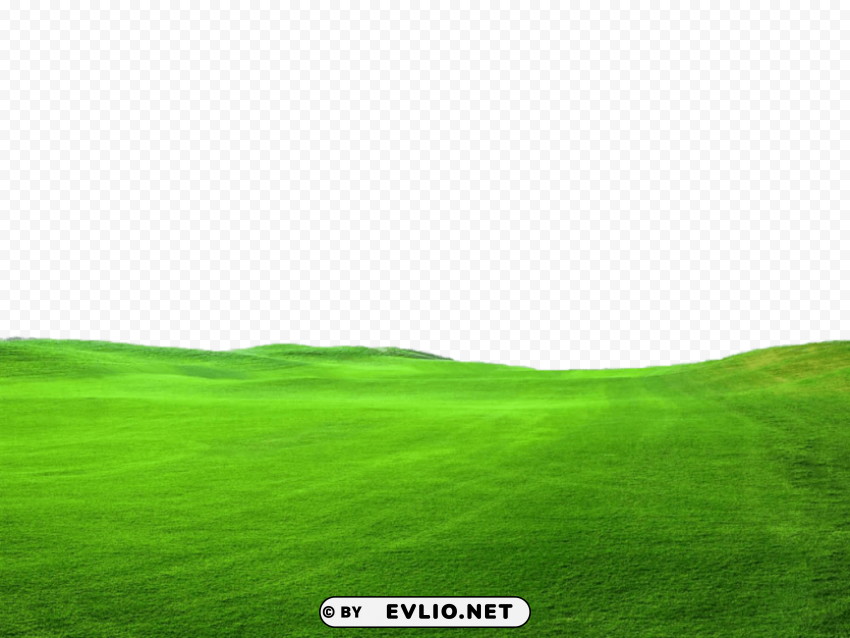 grass pic PNG images with no limitations