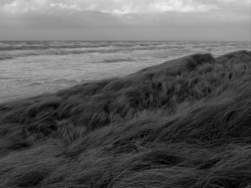 grass sea coast bw landscape PNG Image with Isolated Icon