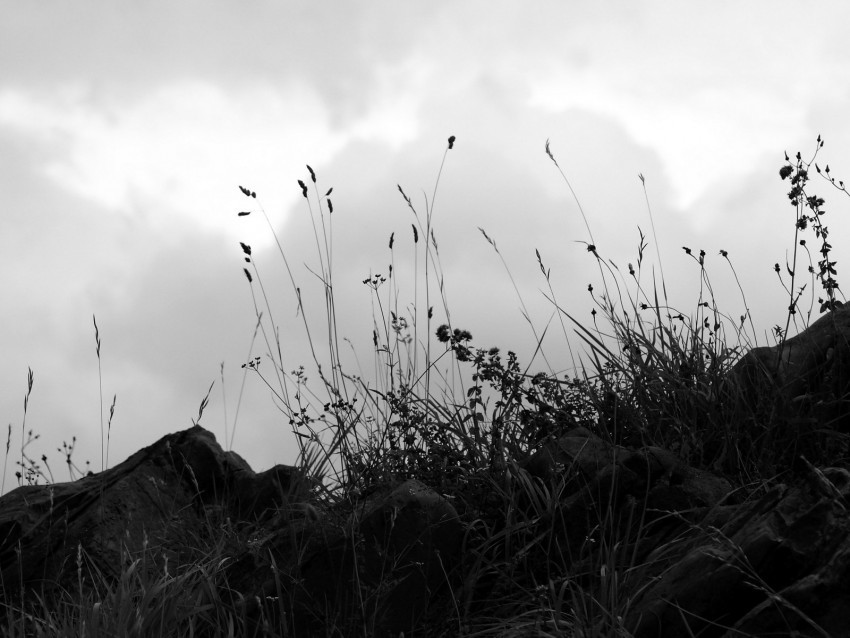 grass stones bw hill sky clouds PNG design