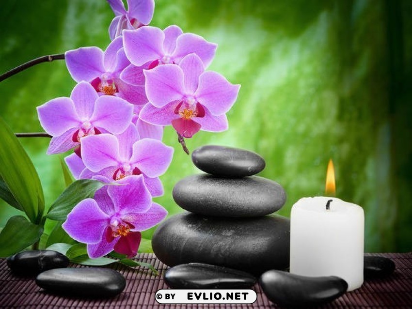green spawith orchids Isolated Element on Transparent PNG