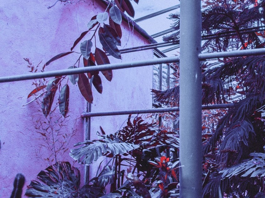 greenhouse plants exotic construction metal Transparent PNG picture