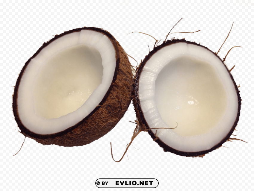 halved cocunut Transparent PNG images for printing