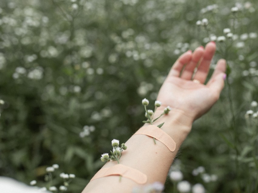 hand flowers patch field daisies PNG transparent graphics comprehensive assortment 4k wallpaper