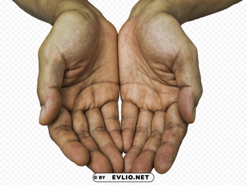 hands Transparent Background PNG Isolated Art
