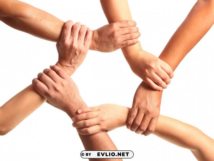 hands Transparent Background PNG Isolated Element