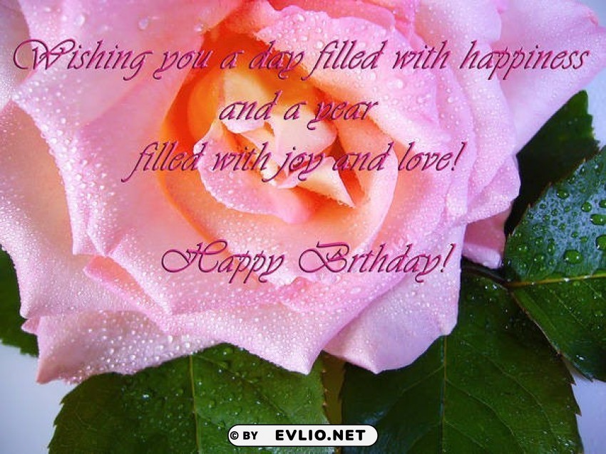 happy birthday card with pink rose High-resolution transparent PNG images variety