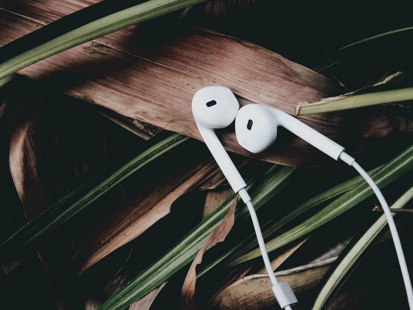 headphones music audio leaves Clear pics PNG