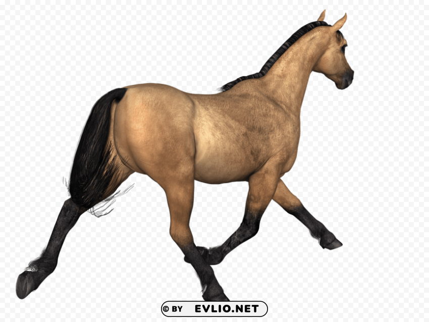 horses brown horse rear view PNG graphics with transparency