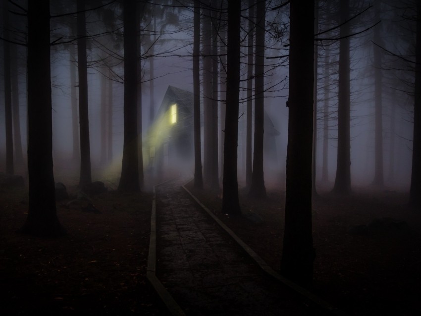house forest fog creepy night Isolated Item on Clear Transparent PNG