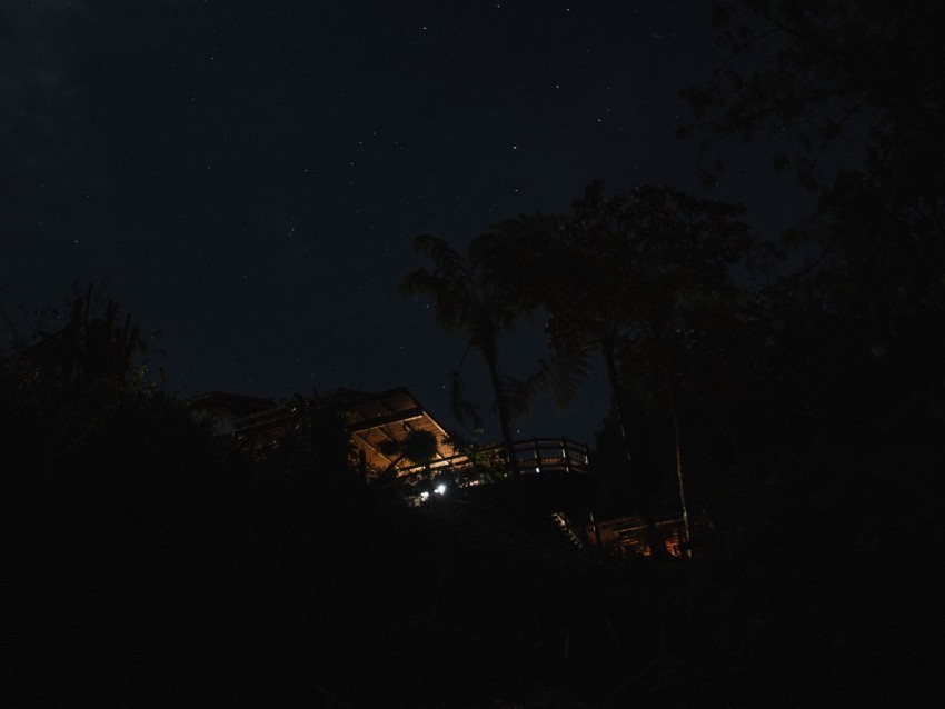 house starry sky palm trees night PNG files with transparency