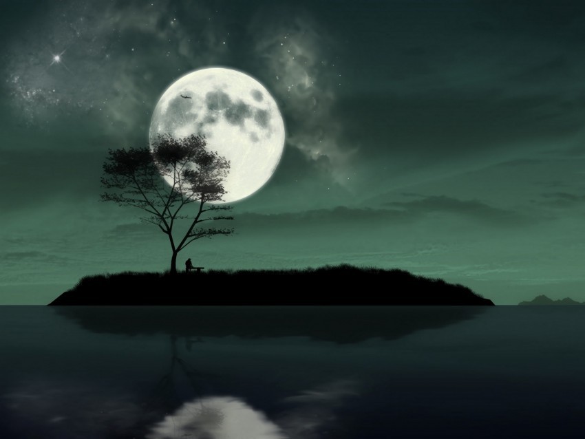 island night moon silhouette loneliness art HighResolution PNG Isolated Illustration