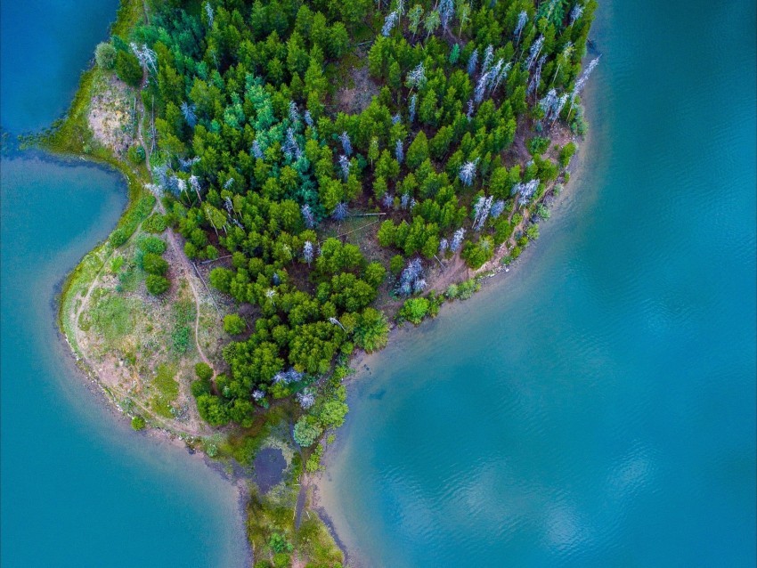 island ocean aerial view paradise trees Free PNG transparent images