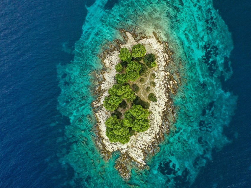 island ocean aerial view water trees PNG high resolution free