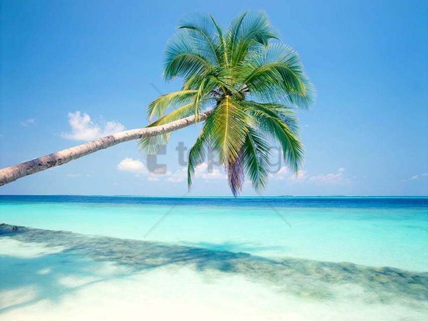 island tropical wallpaper PNG for presentations